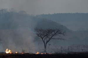 RIO DE JANEIRO, Brazil — Brazil’s indigenous Manoki have been watching fires tear through their ancestral land for weeks, fearing the devastating damage to their forests may mean the end of their cultural heritage as well.