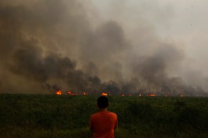 VICE Ngobrol Bersama Pelaku Pembakar Lahan yang Memicu Bencana Asap di Sumatra