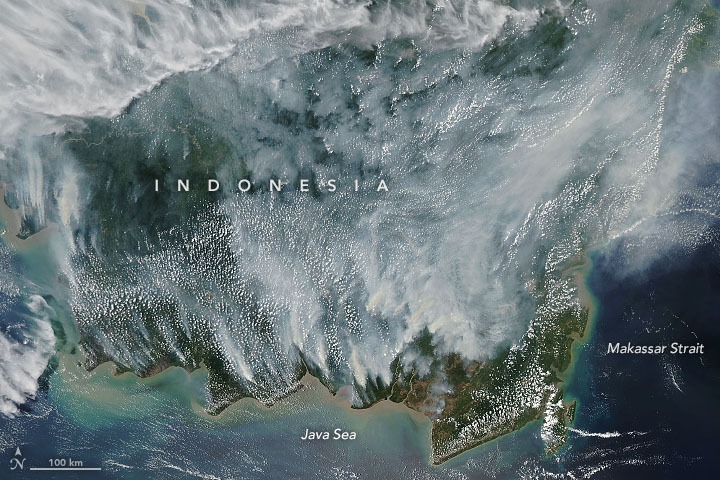 1568907581530-indonesia_amo_2019257