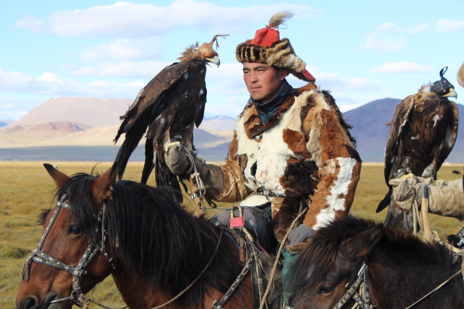 1569217602580-hot_eagle_hunting_mongolia4