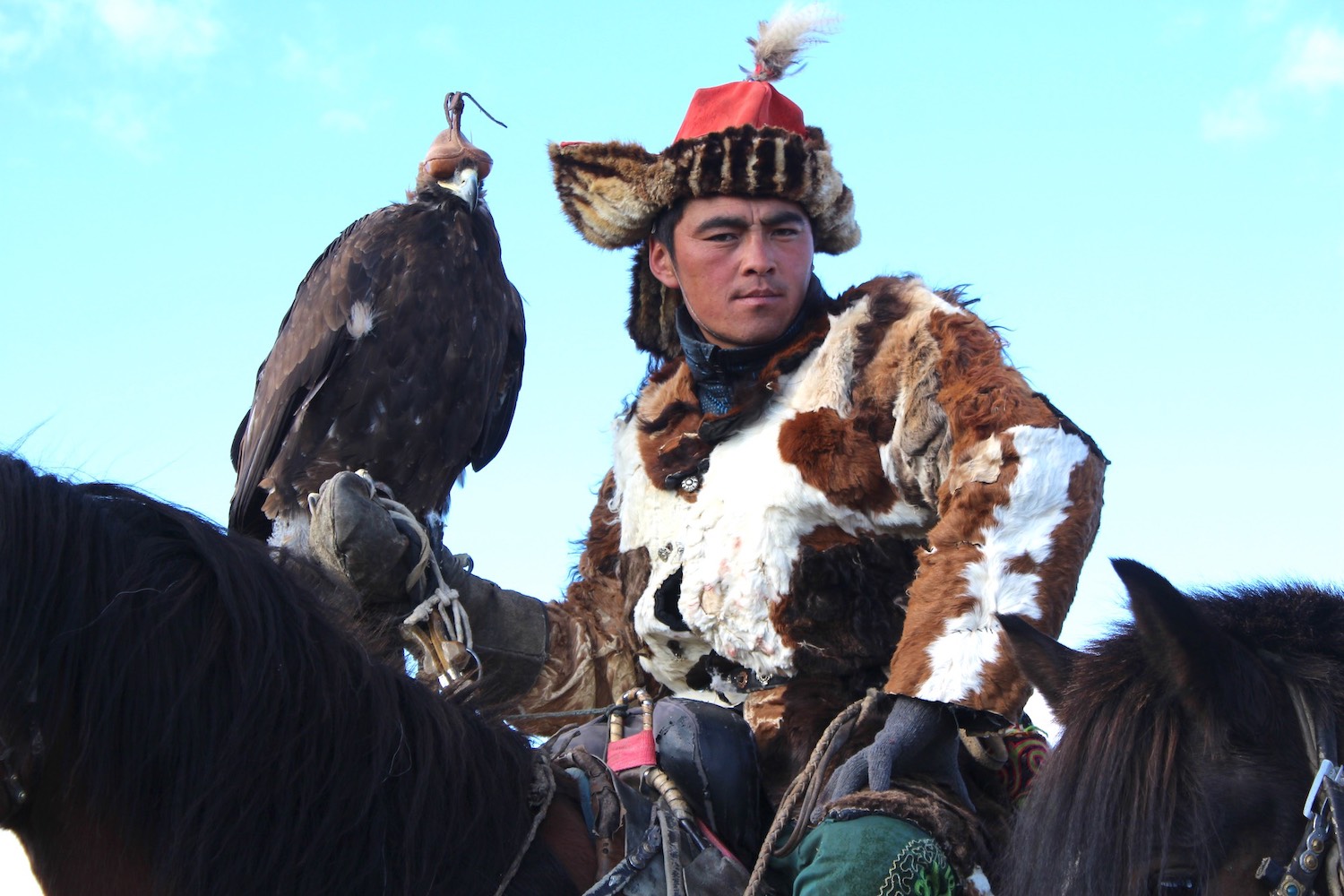 hot_eagle_hunting_mongolia6