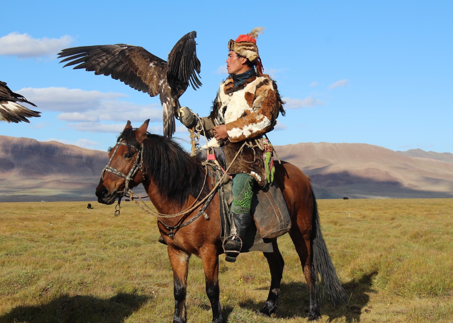 hot_eagle_hunting_mongolia3