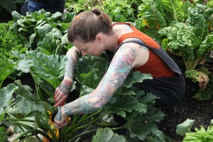 IMG_3298-chef-iliana-regan-elizabeth-milkweed-inn-munchies-garden