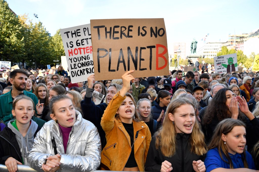 climate strike  youth activists UN summit