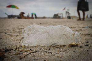 bottle beach cleanup korea