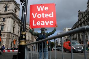 A Pro-Brexit supporter outside Parliament​