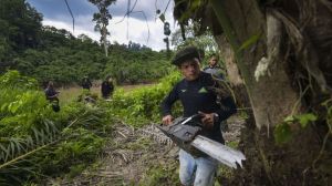 Berbagai Merek Jajanan Kondang Dituding Dapat Pasokan Sawit 'Kotor' dari Kawasan Leuser