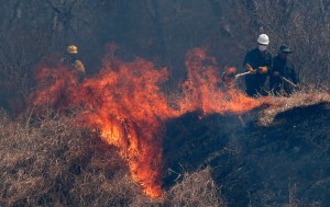 In this Aug. 30, 2019 file photo, police and firefighters work to put out a fire in the Chiquitania forest on the outskirts of Robore, Bolivia.