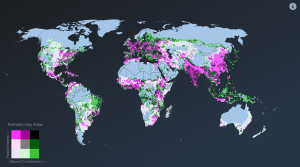 Peta Global Ini Menunjukkan Bukti Alam yang Tidak Rusak Sangat Menguntungkan Manusia