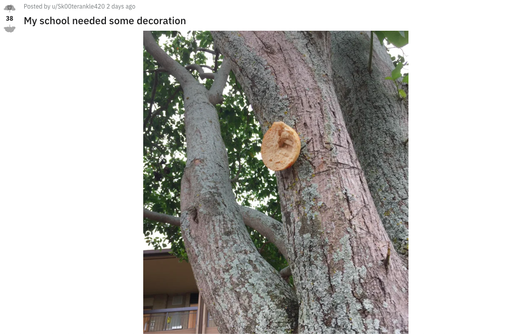 bread stapling in school