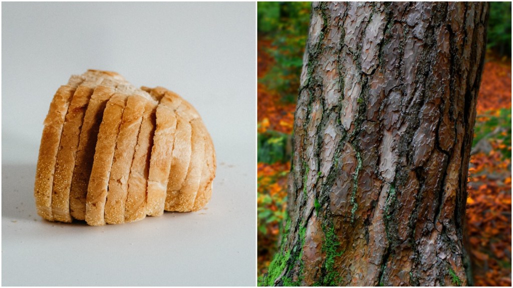 stapling bread on trees funny weird subreddit