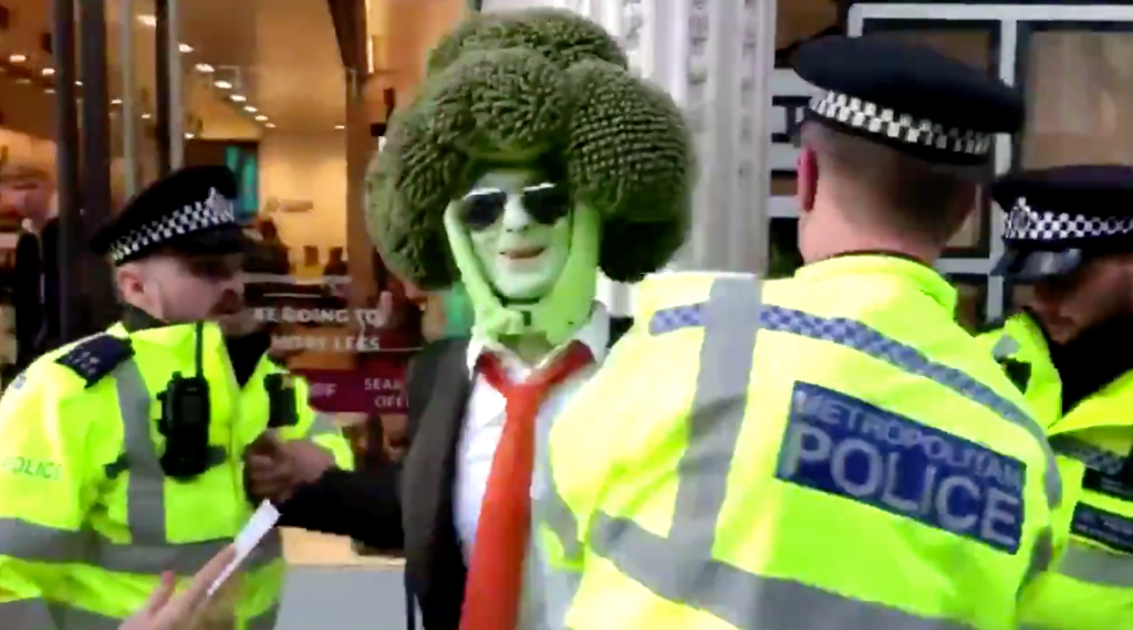 man dressed as broccoli