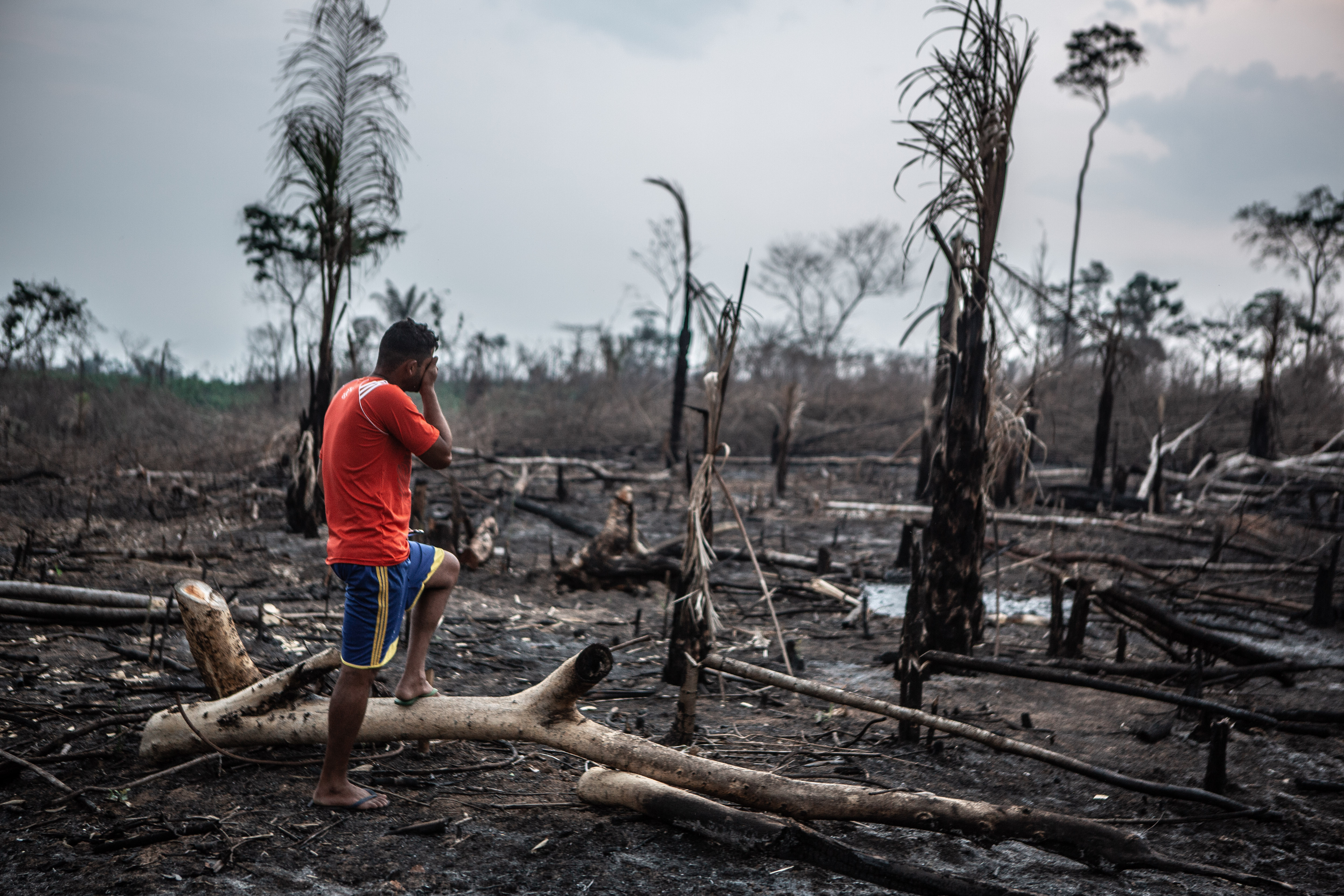 Man desperately looks towards burnt land