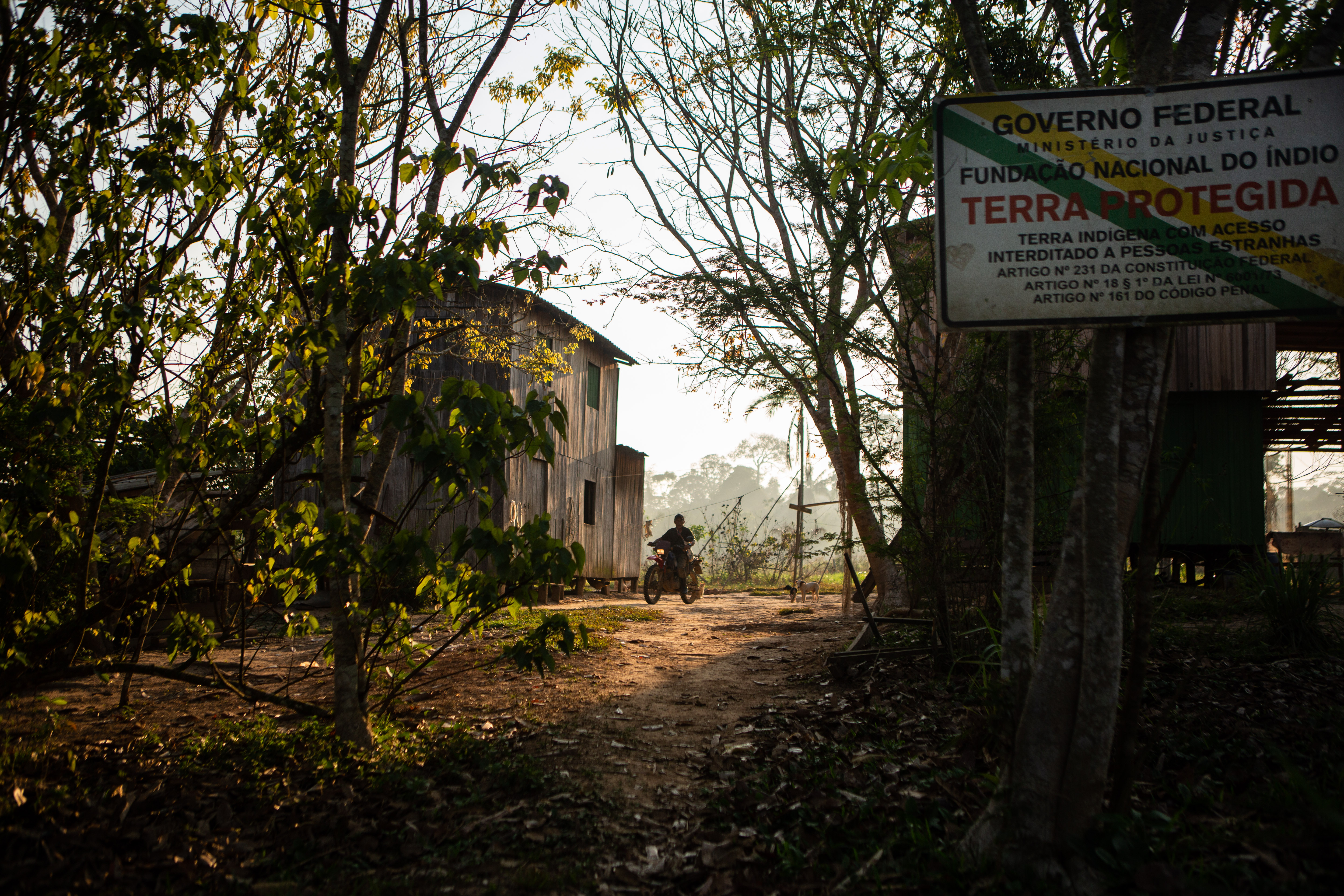 A house in the forest