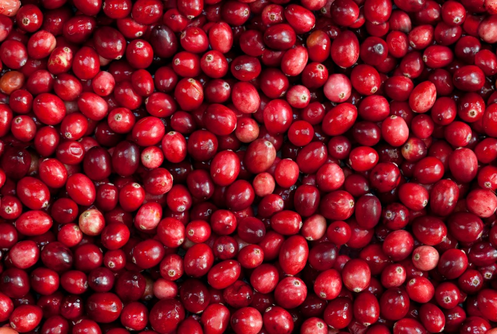 A bunch of cranberries