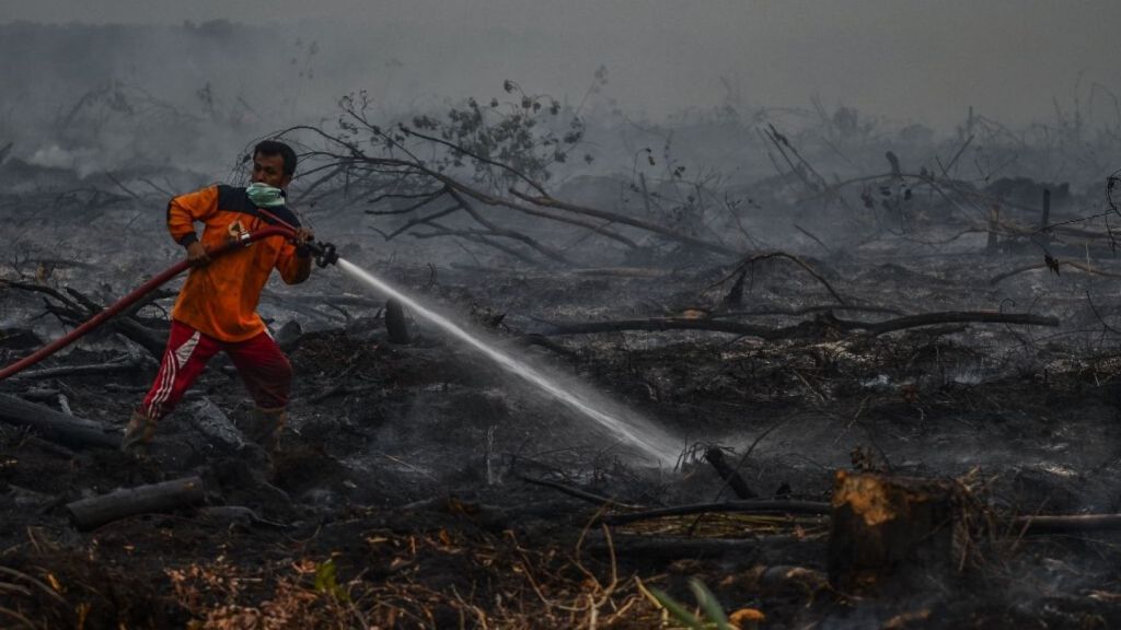 Pengakuan Mereka yang di Garis Depan Memadamkan Kebakaran Hutan