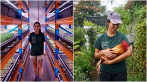 farmers in Singapore young making career switch