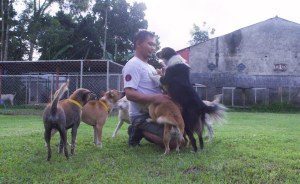 Ngobrol Bareng Frank Delano Manus dari AFMI yang Gigih Mengajak Masyarakat Minahasa Agar Tak Lagi Makan Anjing