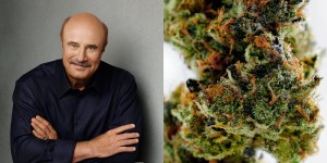 Dr. Phil weed is scary