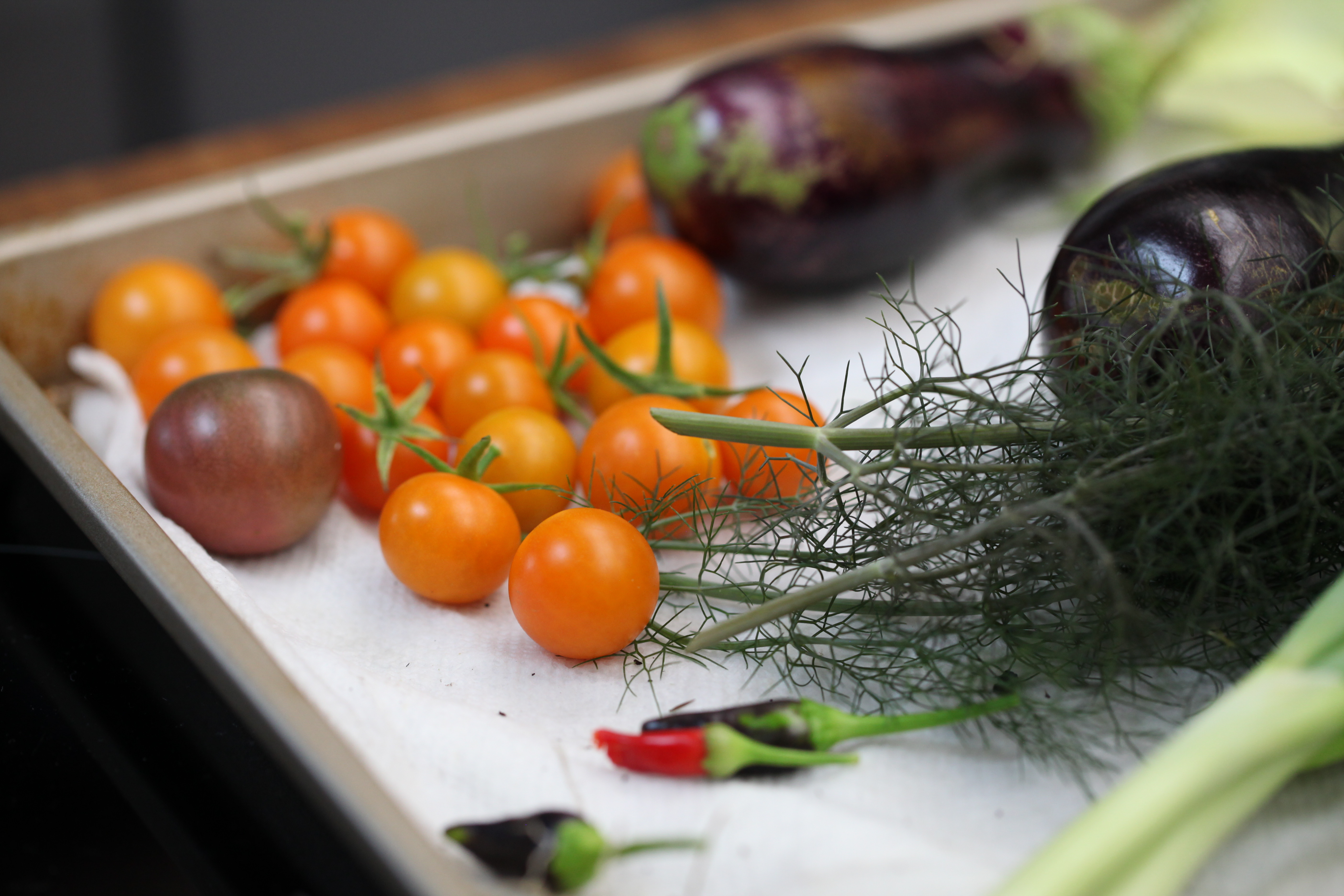 1573163531023-IMG_5475-vegetables-from-munchies-rooftop-garden-tomatoes