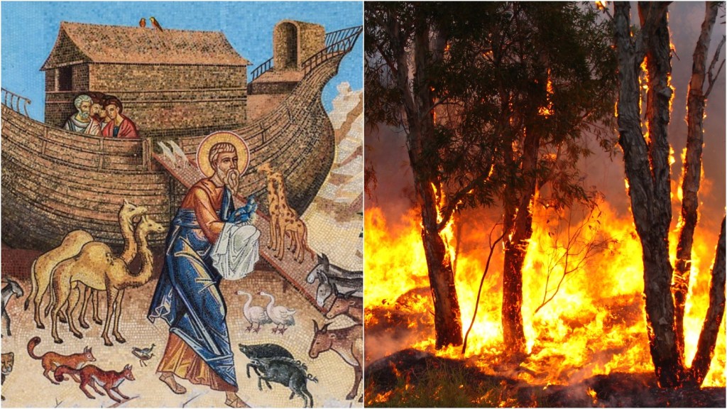 Noah's Ark and Australian bushfires