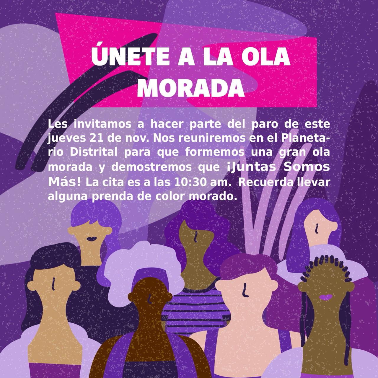 1574347142008-ola-morada