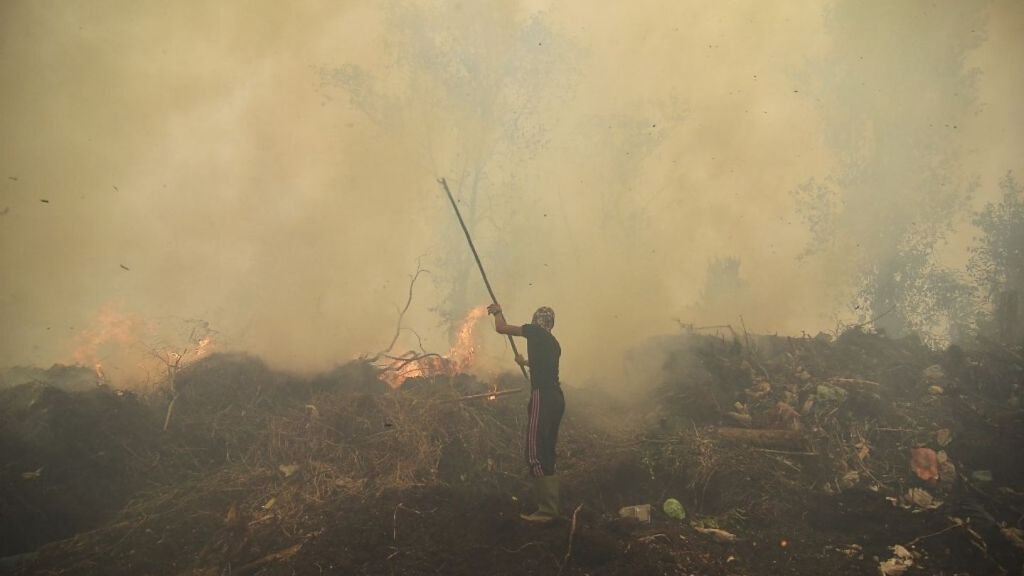 Karhutla Indonesia Hasilkan Emisi Nyaris Dua Kali Lebih Parah dari Kebakaran Amazon