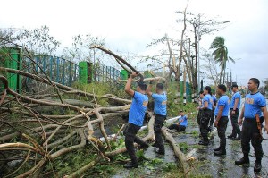 trees fall after typhoon kammuri hits philippines