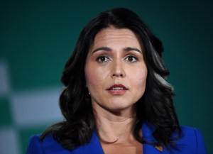 tulsi gabbard