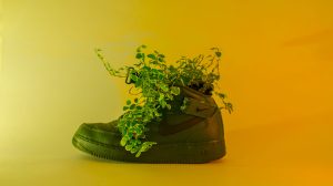 Nike plantas