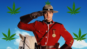 RCMP black market dispensaries