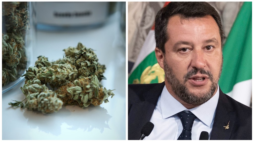 salvini_ganja_02