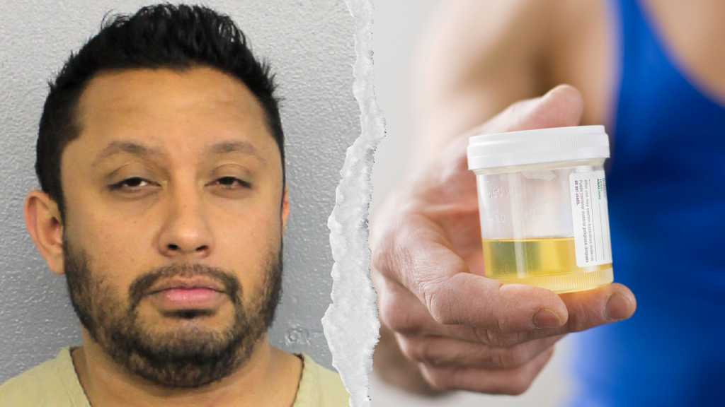 Inside the Crackdown on Florida Rehab Clinics That Became Piss-Test Scams