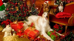 Cadeaus en een witte hond (niet ingepaklt onder een kerstboom.