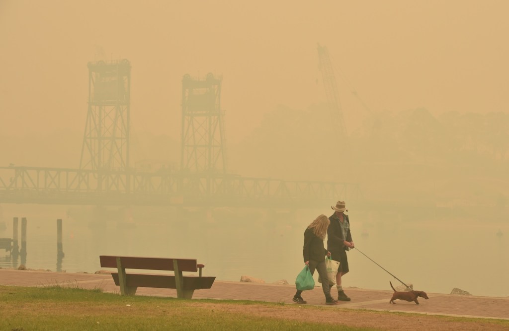 Tourists walk with a dog through dense smoke from bushfires in front of the Batemans Bay bridge as cars line up to leave the town in New South Wales to head north on January 2, 2020.