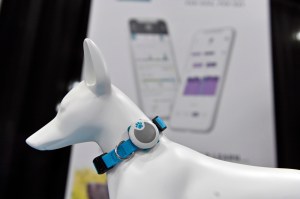 animo, sure petcare, tech, ces 2020, dogs, pets, fitness trackers, fitbi, wearables, gadgets,