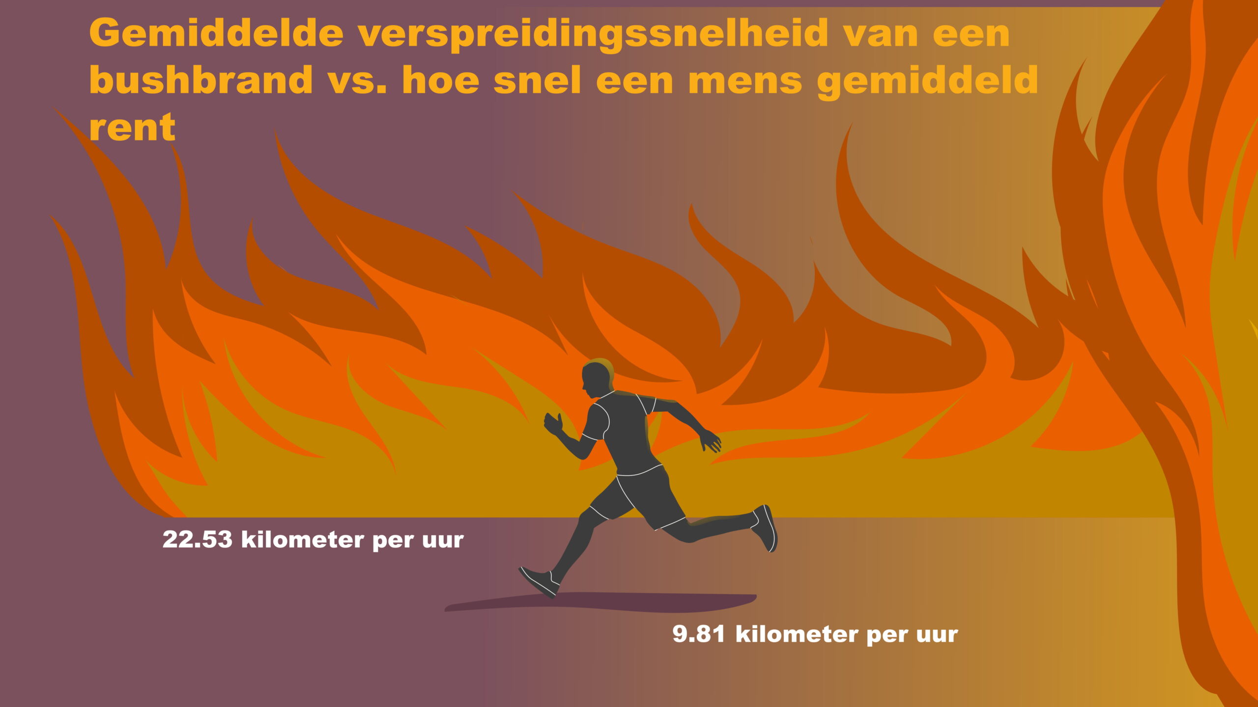 1578925465814-bushfire-leadNL-3-1