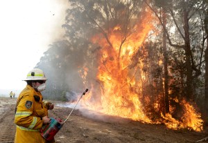 A firefighters backs away from the flames after lighting a controlled burn near Tomerong, Australia