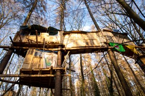 Ein Baumhaus im Hambacher Forst