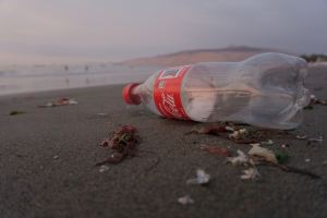 CocaCola refuses to give up plastic bottles saying their customers still want them