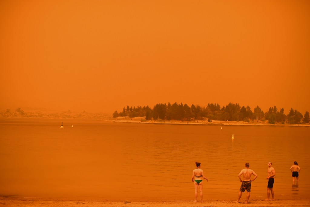 australia bushfire