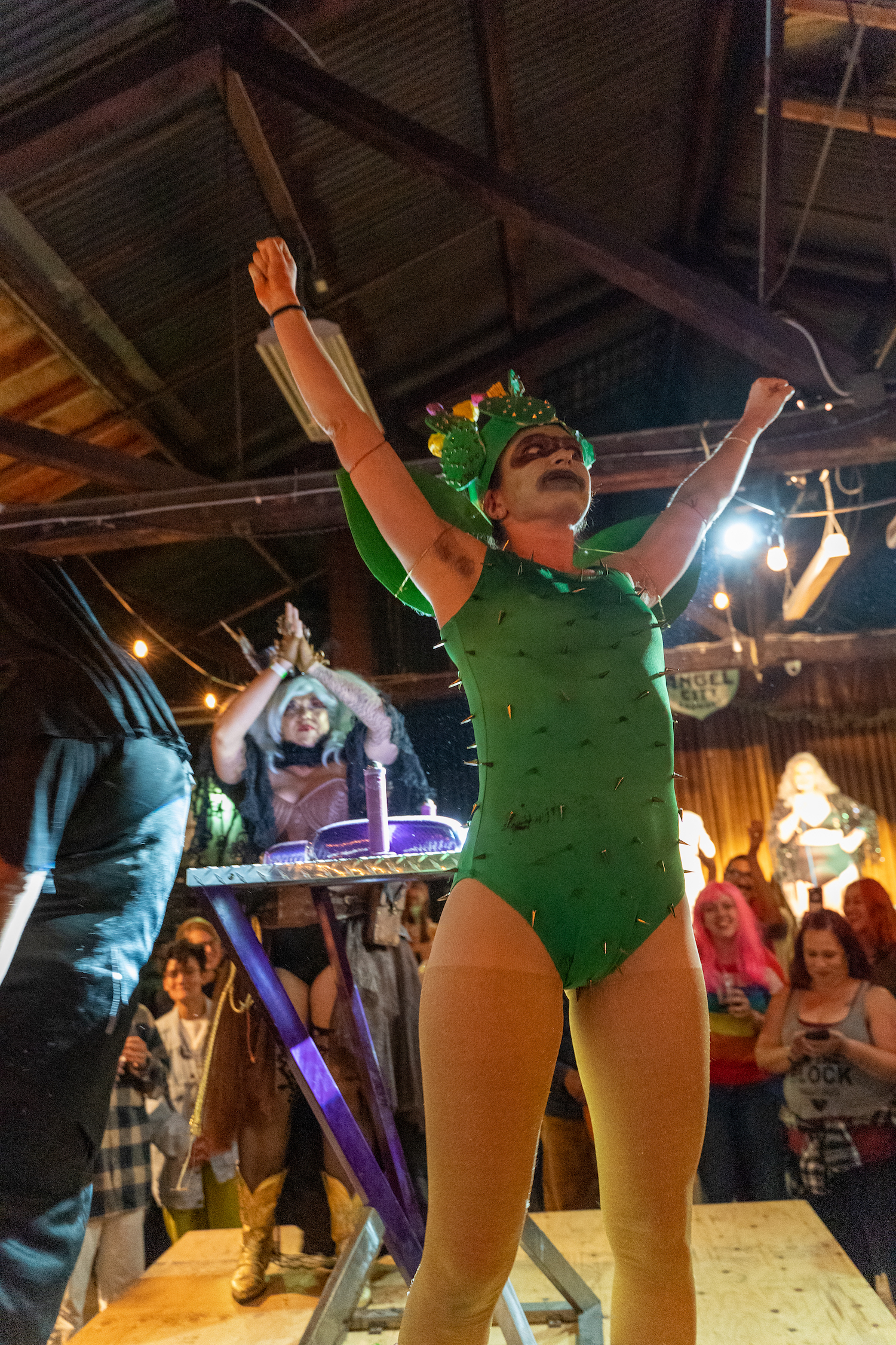 person in a cactus costume on a stage