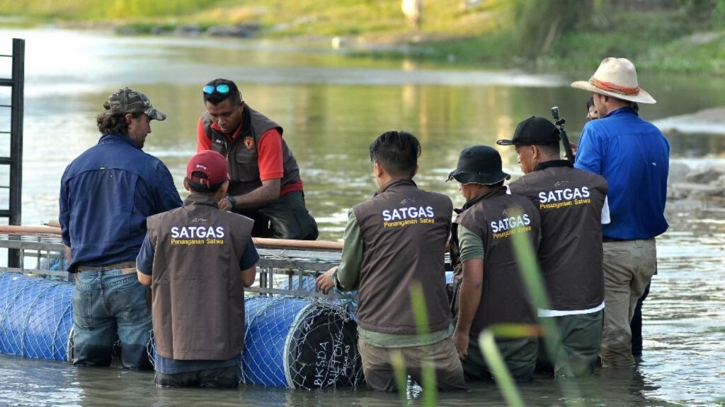 Pakar Buaya Australia Matt Wright Balik Kampung Usai Delapan Hari Gagal Tangkap Buaya Berkalung Ban Palu