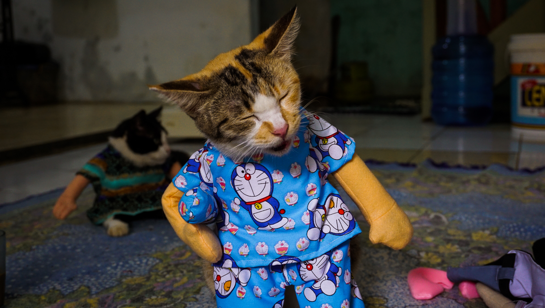 Indonesian Cat Couture Designer