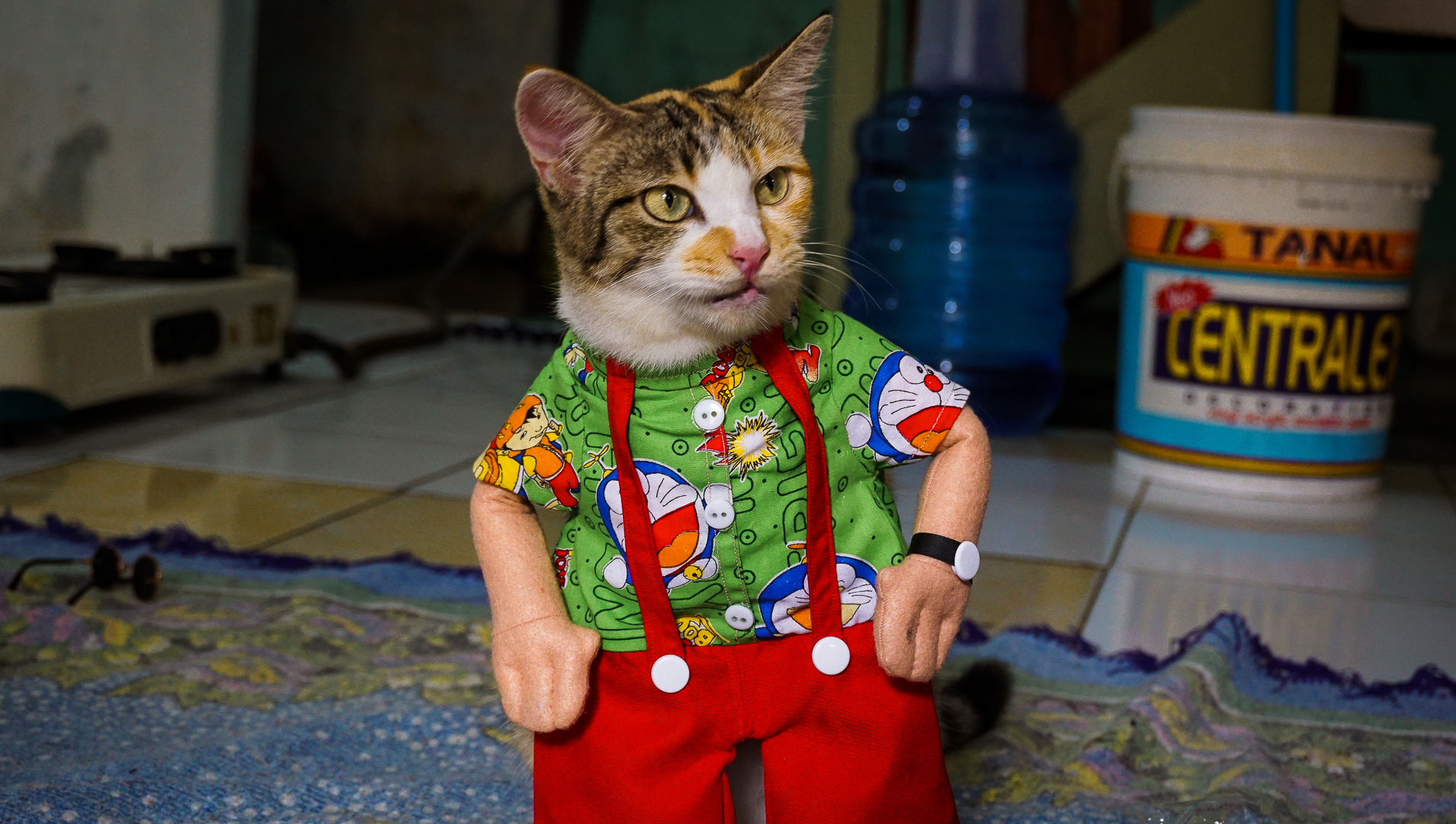 Indonesian Cat Couture Designer