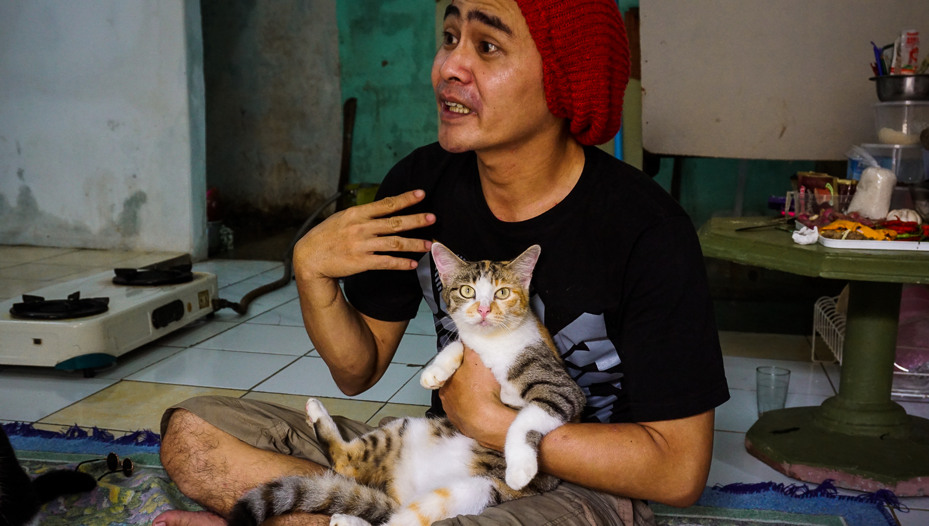 Indonesian Cat Couture Designer