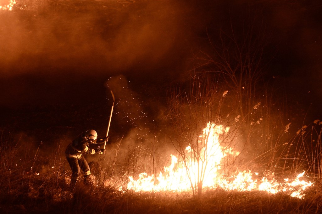 incendii din Delta Vacaresti, parcul vacaresti, incendii in delta