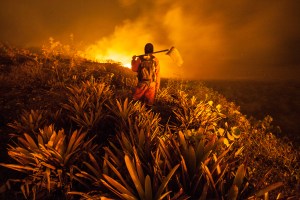 Brigadista en zona de incendio