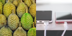 Ilustrasi durian dan HP dicas