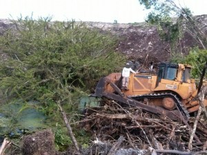 Imagen del cenote que fue tapado y rellenado 3